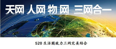为实体商业企业插上互联网的翅膀 网络信息传播与咨询服务赋能转型